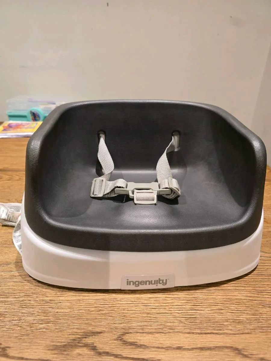 Infant Table Booster Seat - Image 1
