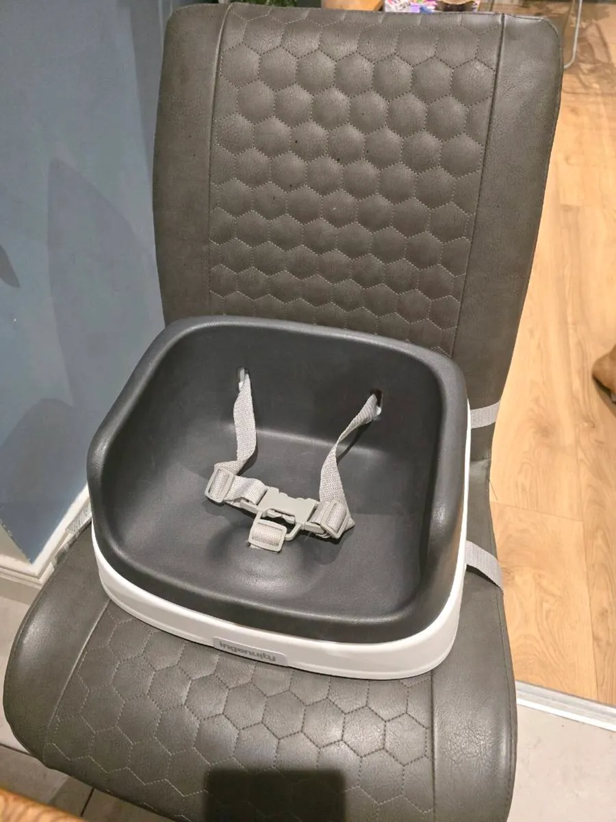 Infant Table Booster Seat - Image 2