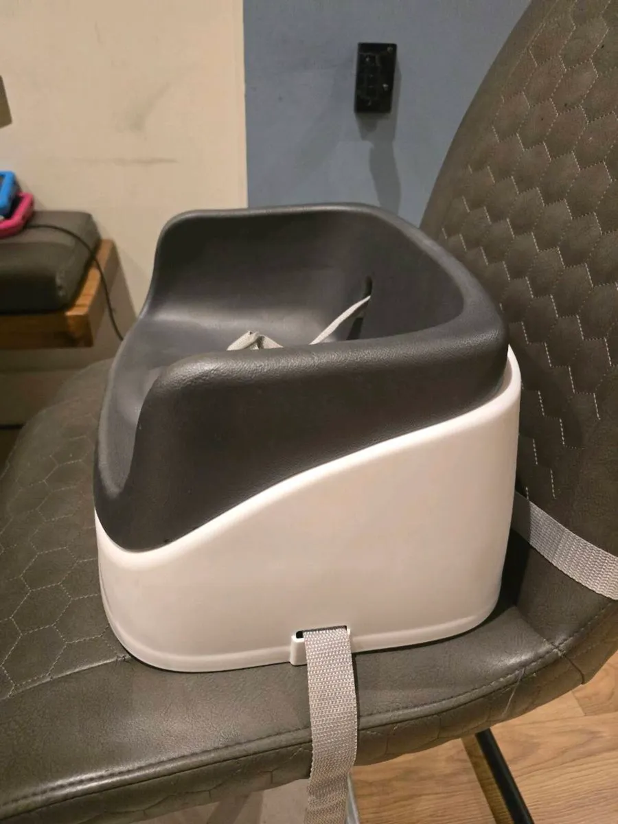 Infant Table Booster Seat - Image 3