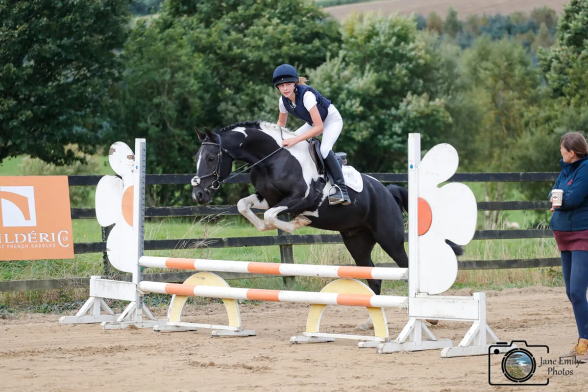 14.2hh all rounder 8 Yr old pony - Image 4