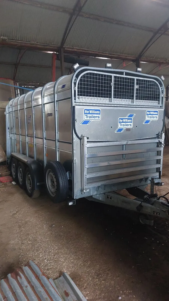 IFOR  WILLIAMS TA510 14X6H - Image 2
