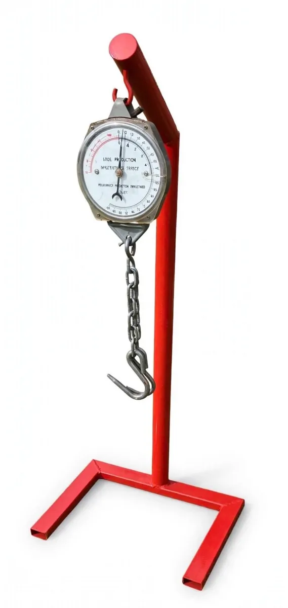 Vintage pub scales - Image 1
