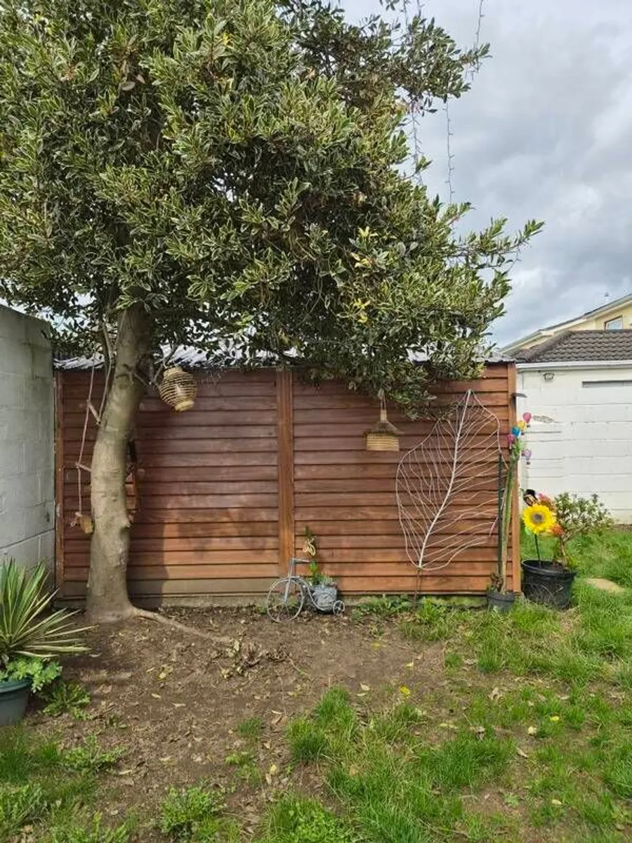 Shed,metal - Image 3