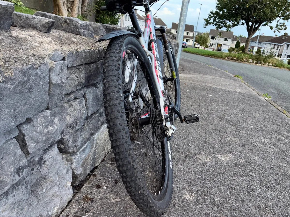 Carrera 29” HELLRCR LTD EDITION - Image 3