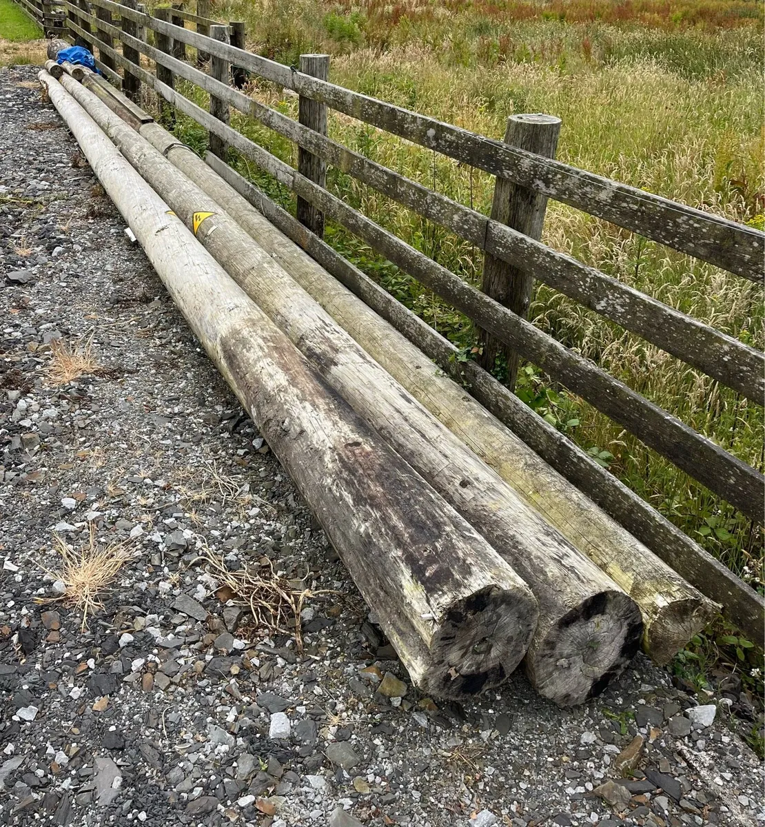 ESB poles