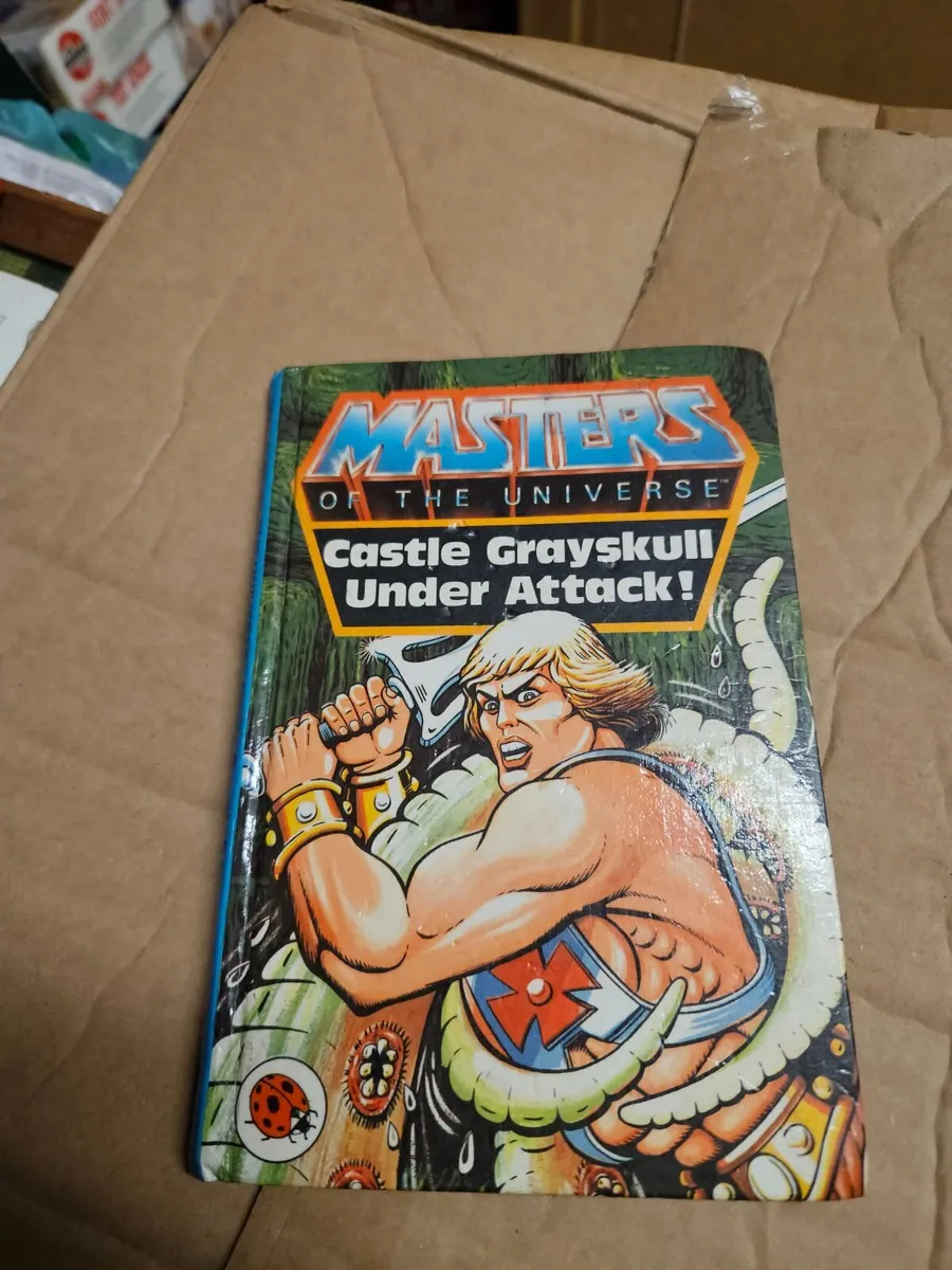 Ladybird He Man Masters of the Universe Book - Image 1