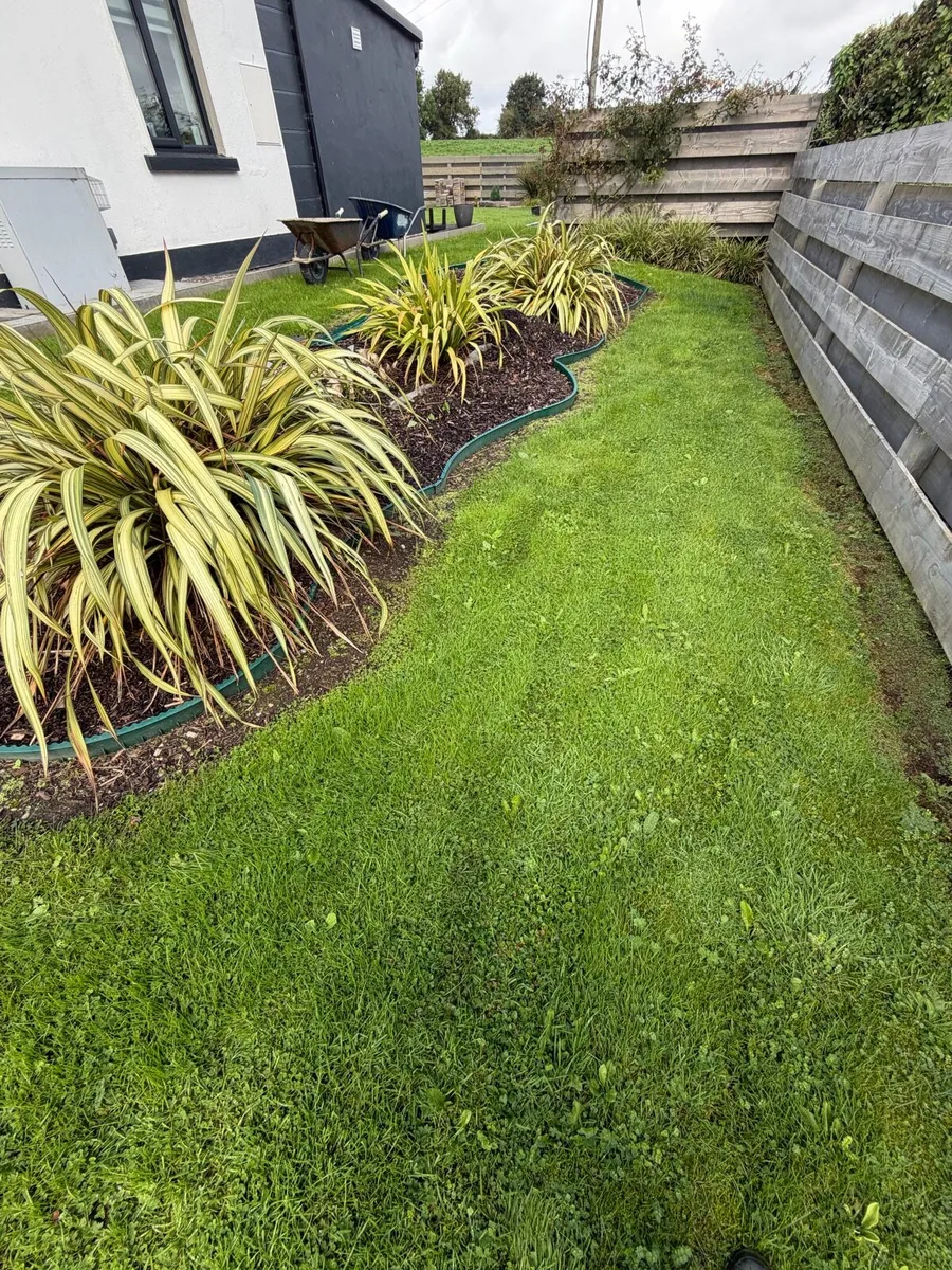 green plastic lawn edging - Image 3