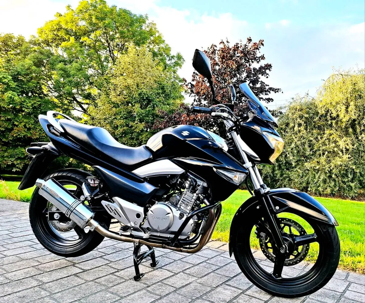 Suzuki GW 250 Inazuma - Image 1