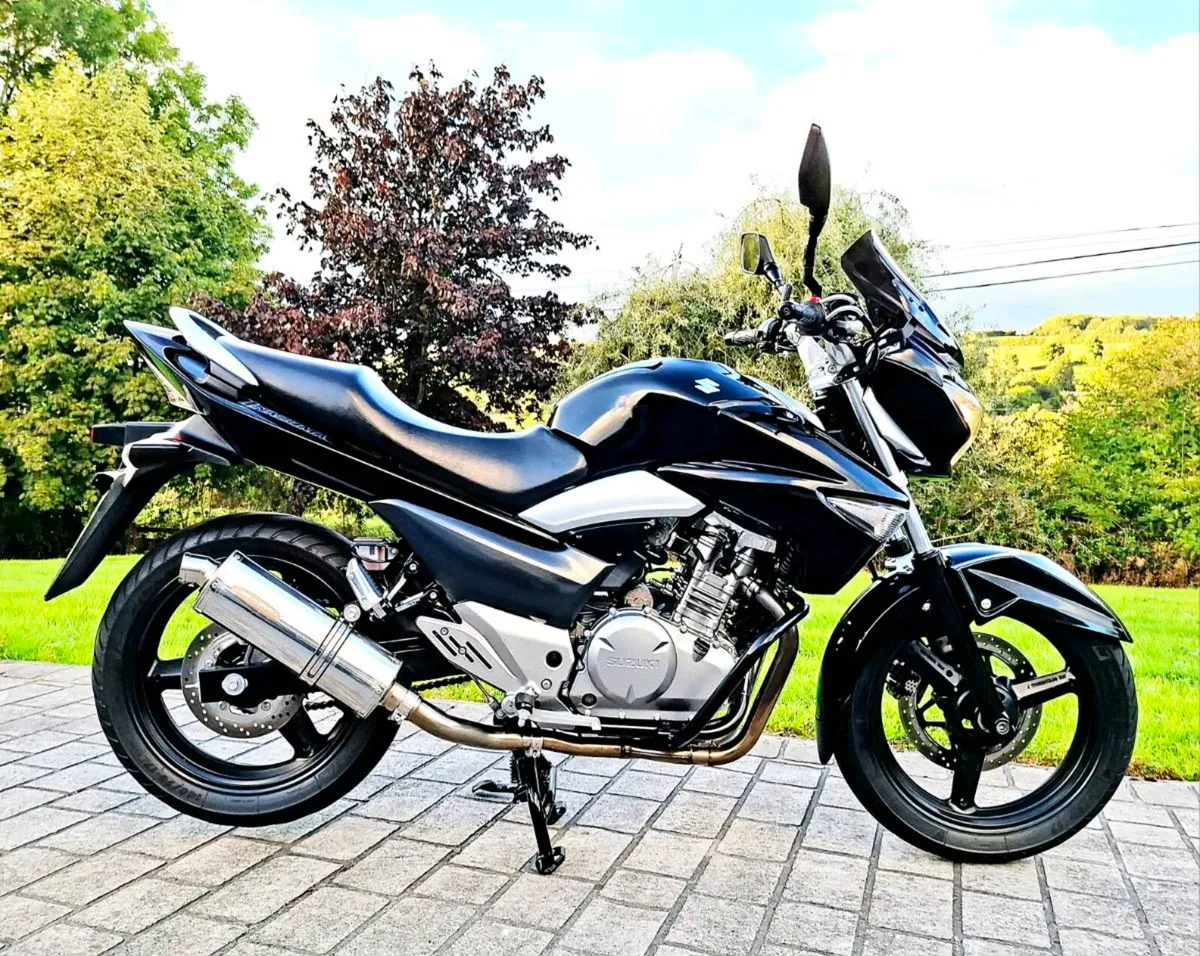 Suzuki GW 250 Inazuma - Image 2