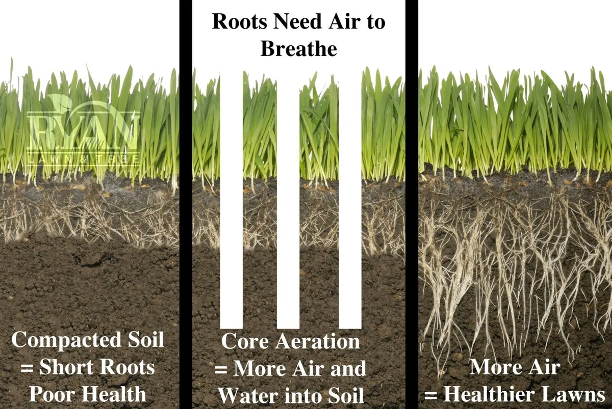 Solution to Compacted Soil - Image 1