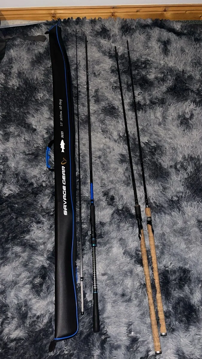 Fishing rod - Image 1