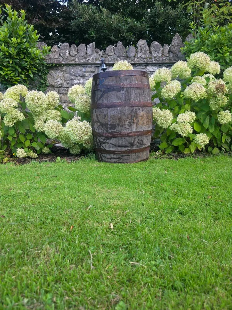 Whiskey barrels
