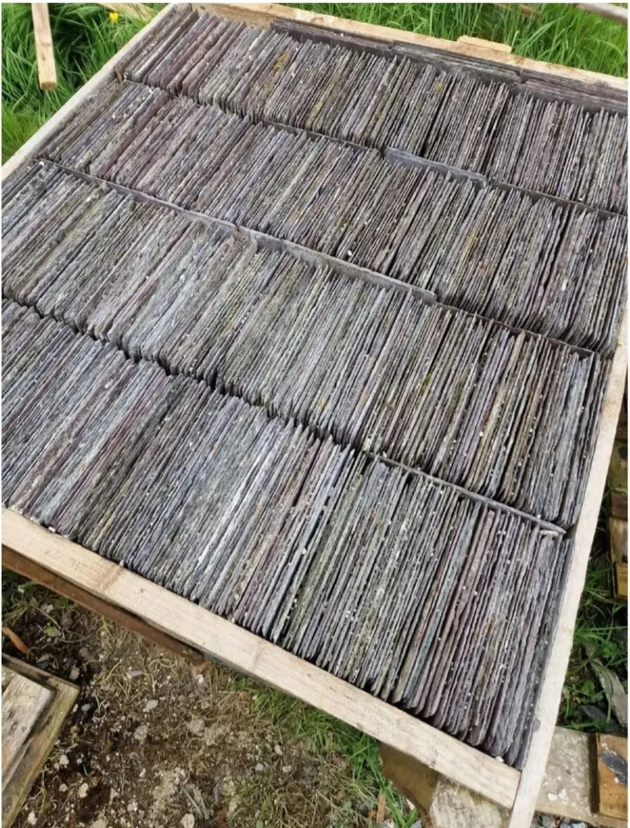 Bangor Blue Slates 20x12   1000 - Image 2