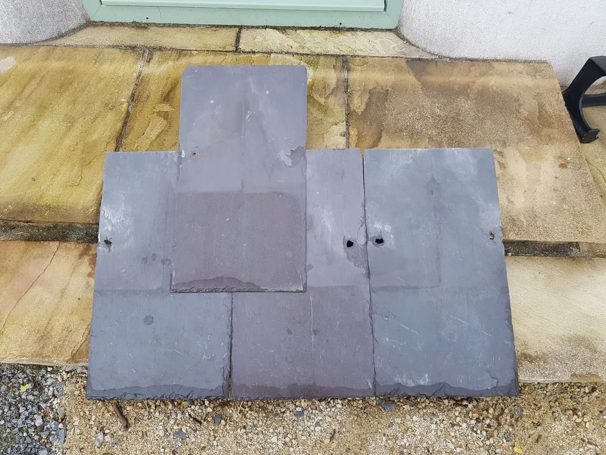 Bangor Blue Slates 20x12   1000 - Image 4