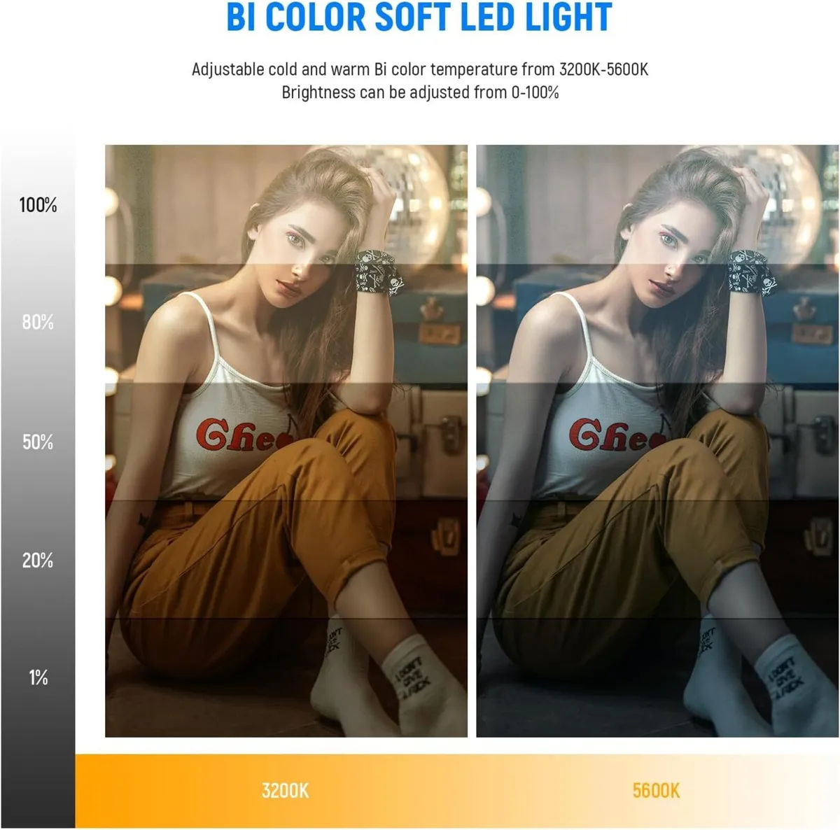 LED Video Lighting Kit with 70inch Light Stand (2 - Image 2