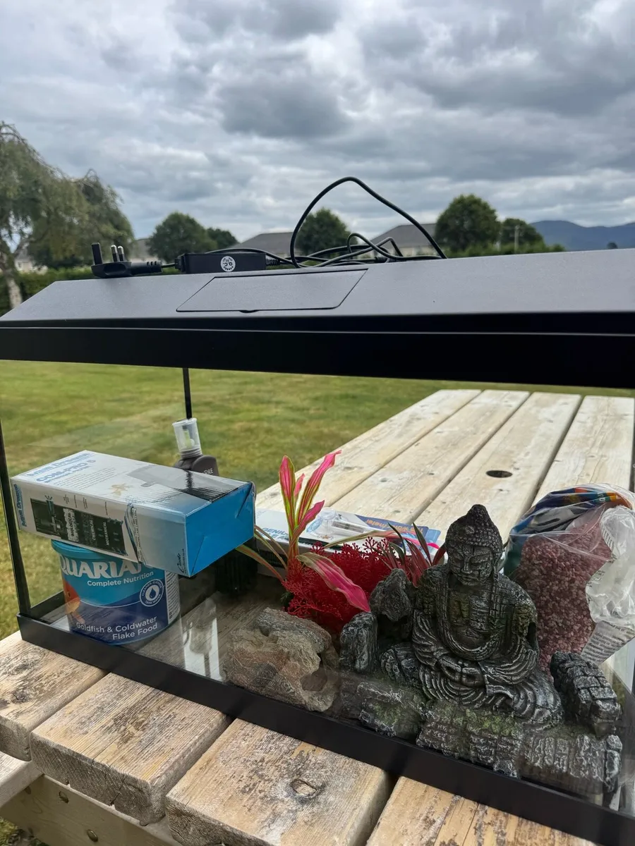 Fish Tank - Image 1