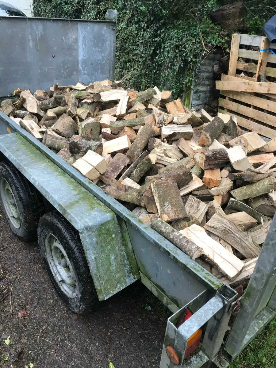 Hardwood firewood - Image 3