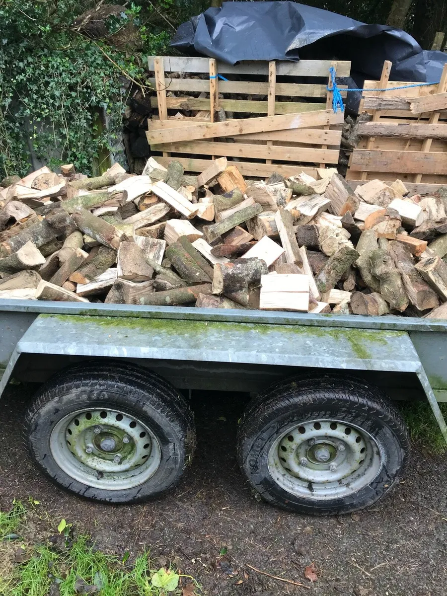 Hardwood firewood - Image 4