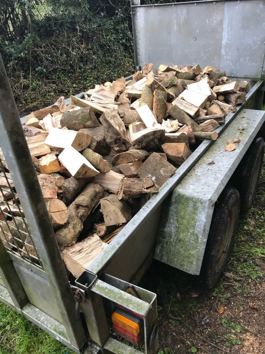 Hardwood firewood - Image 1