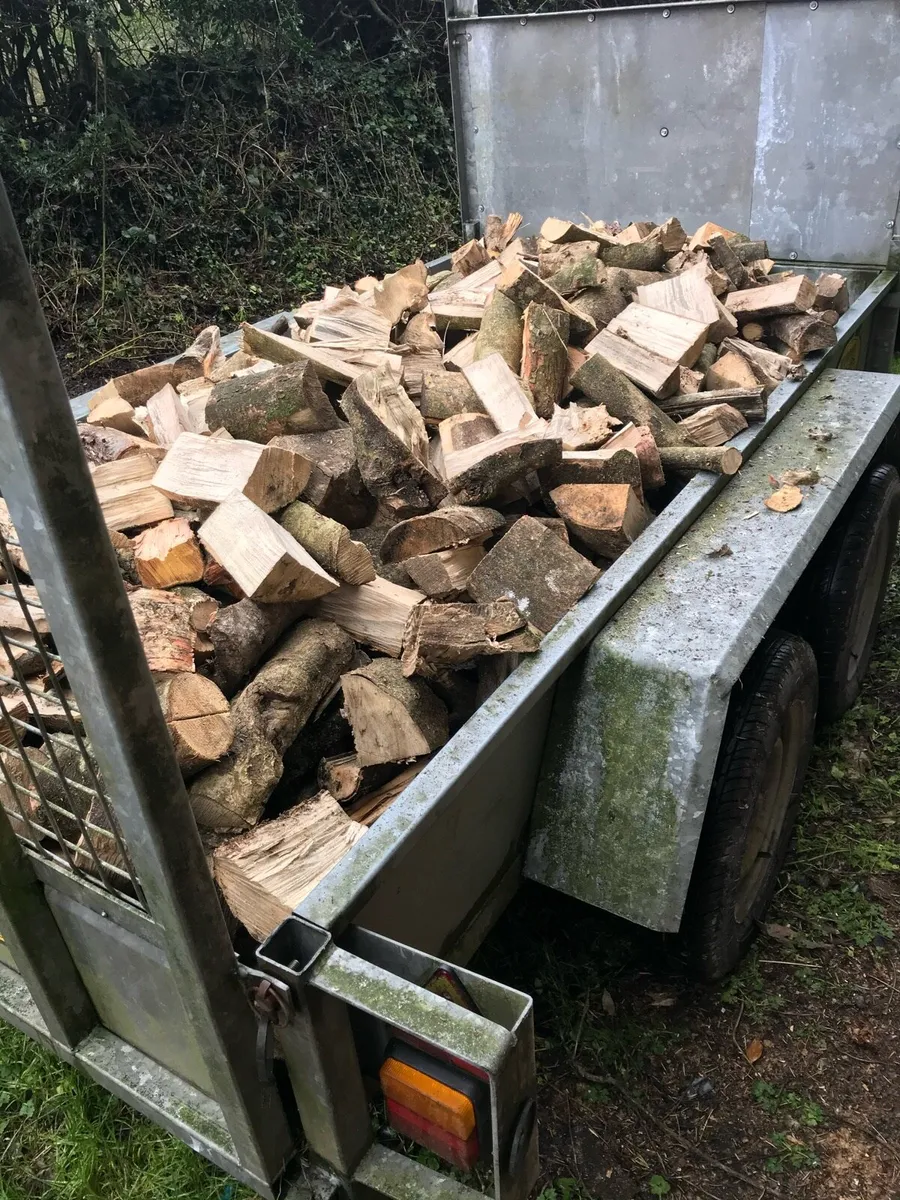 Hardwood firewood - Image 2