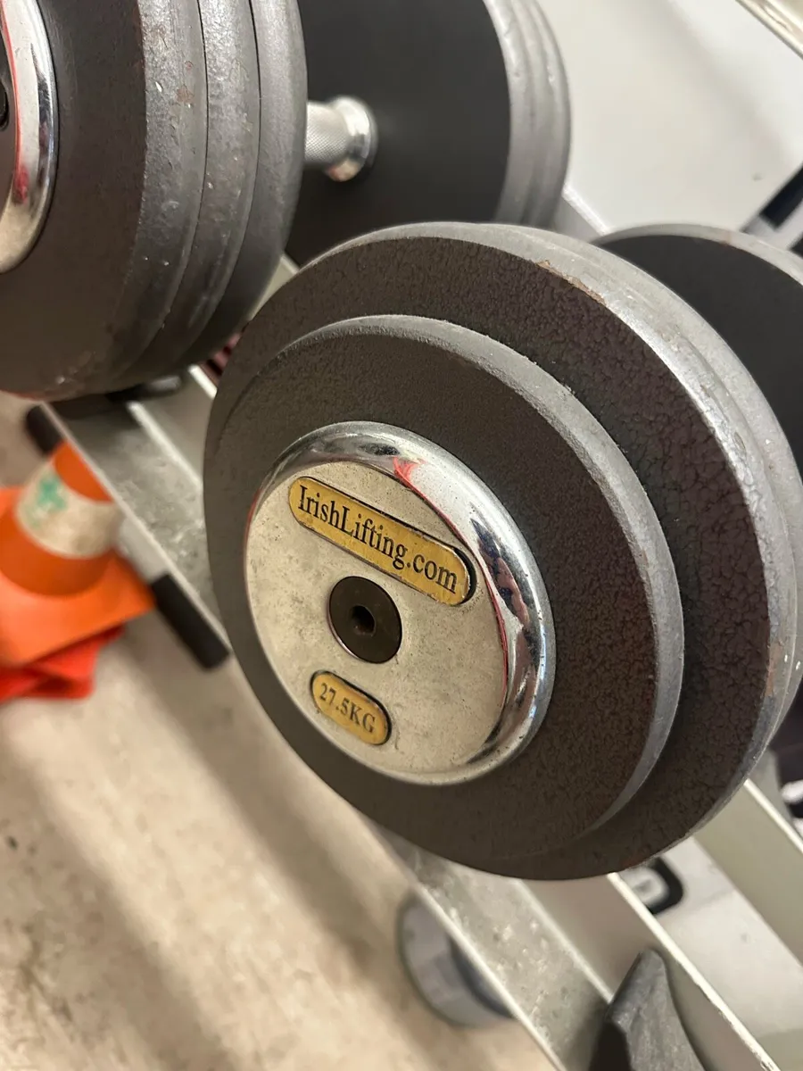 Selection of dumbbells and weight rack for sale. - Image 2