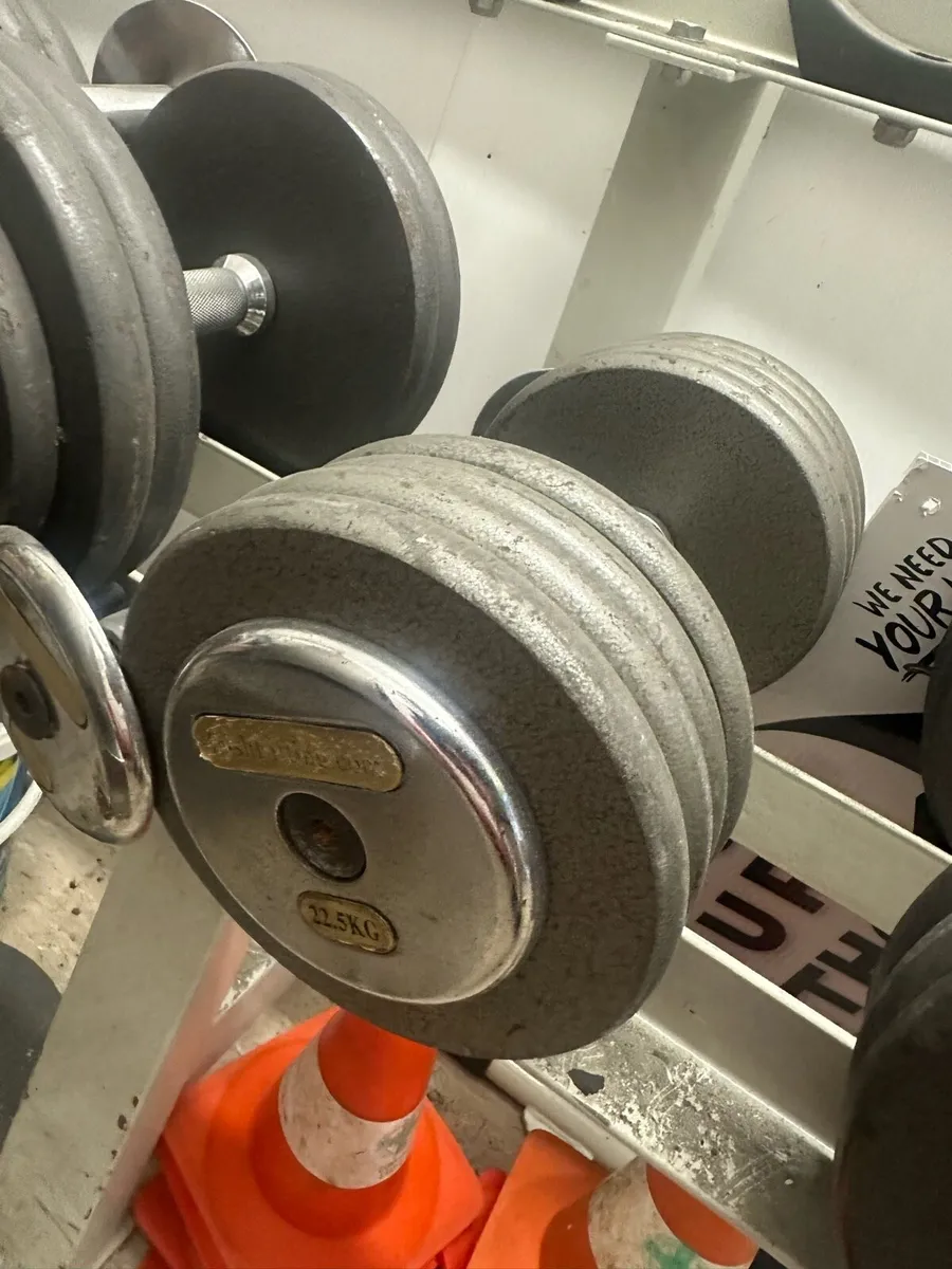 Selection of dumbbells and weight rack for sale. - Image 4