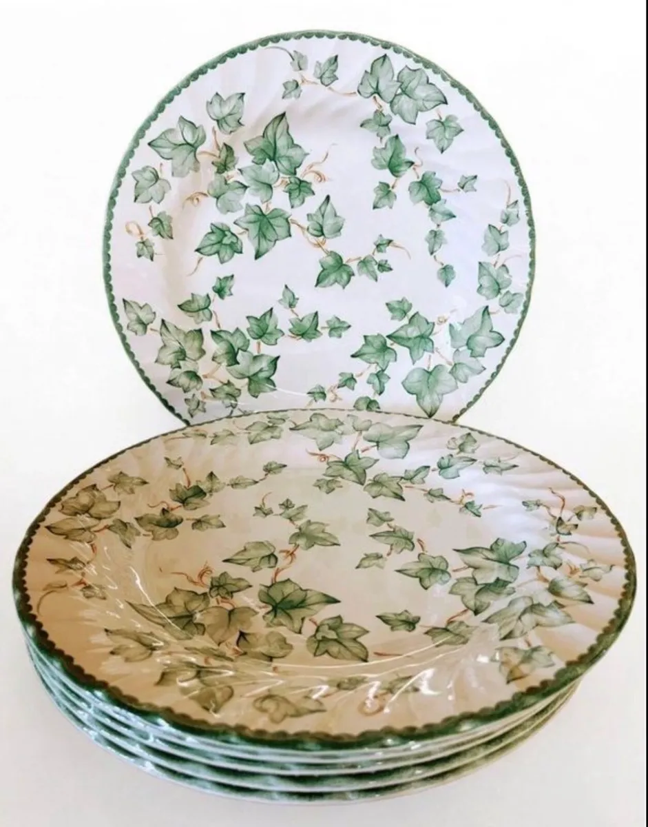 6 Vintage country vine pattern large plates - Image 1