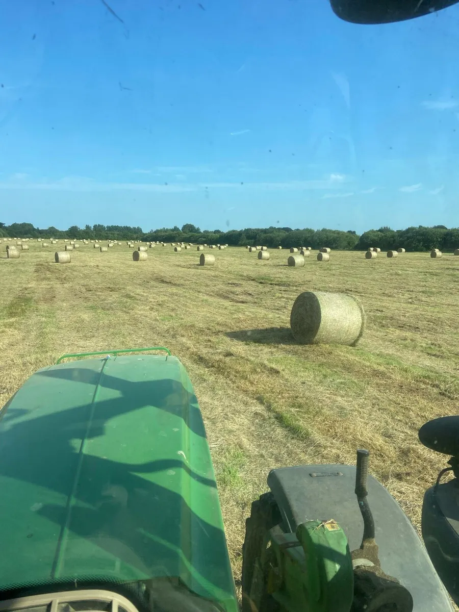 Hay - Image 2
