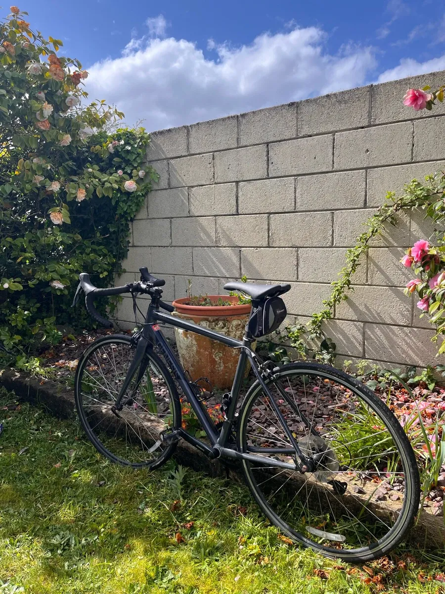 Genesis road bike - Image 1