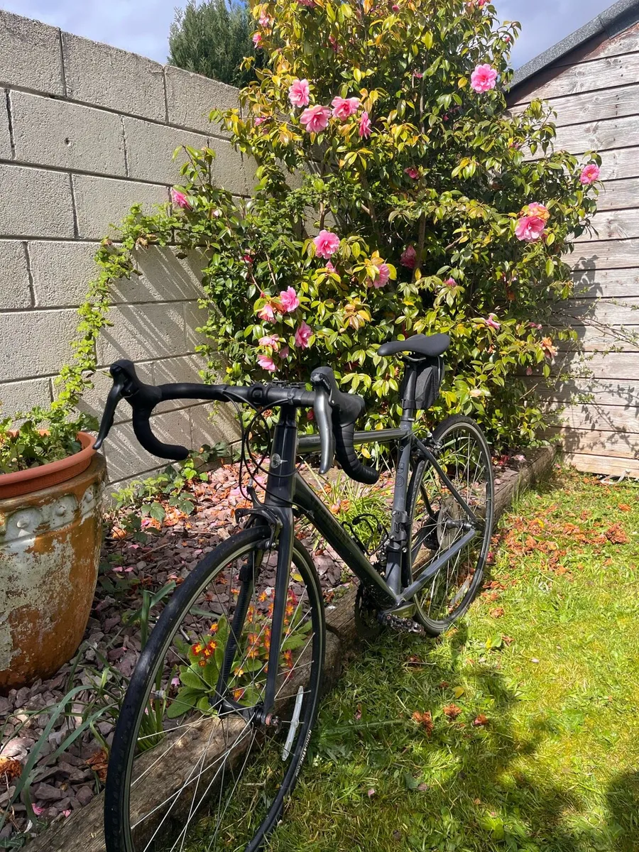 Genesis road bike - Image 2
