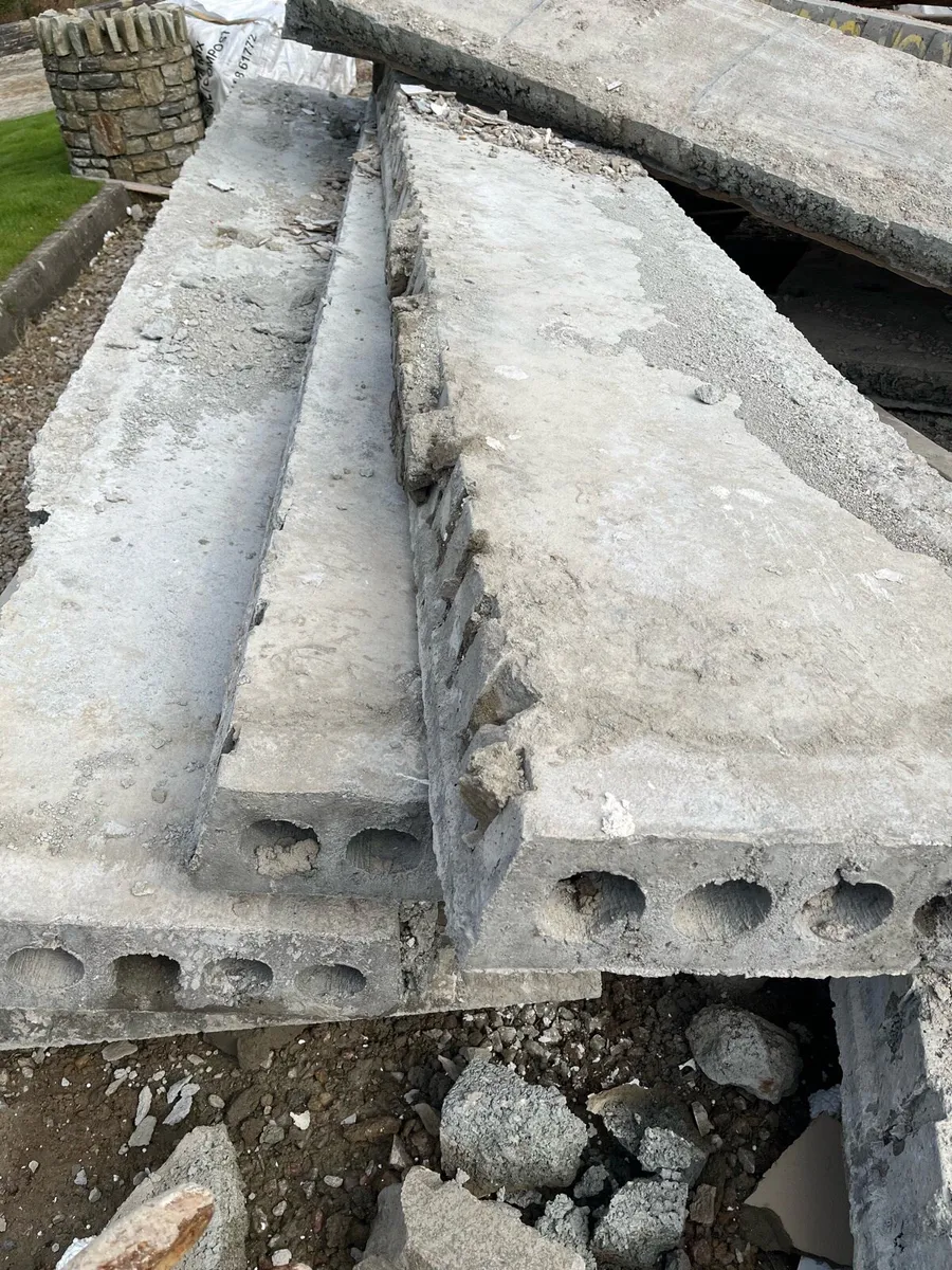 Bison slabs