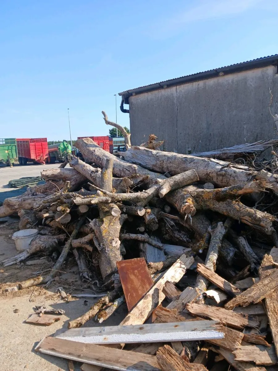 Firewood - Image 2