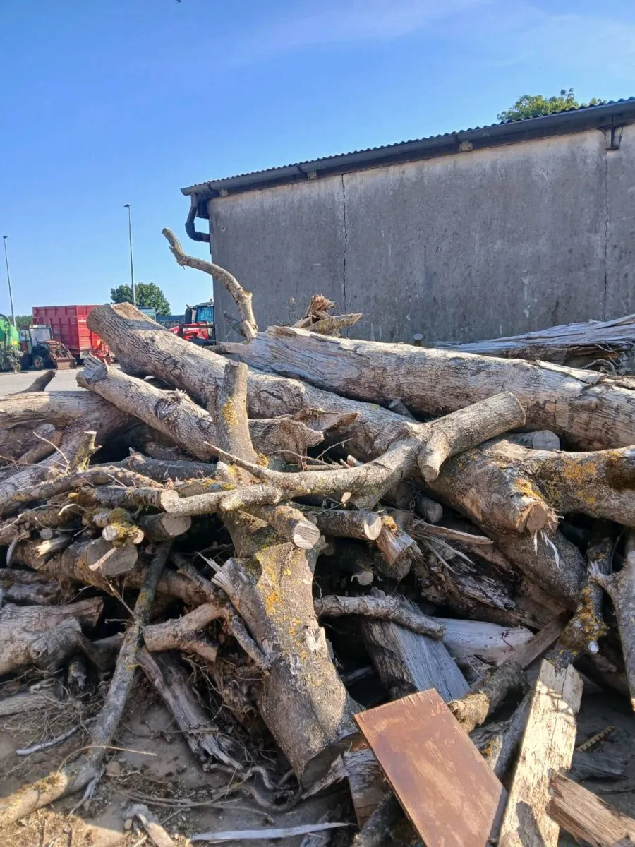 Firewood - Image 1