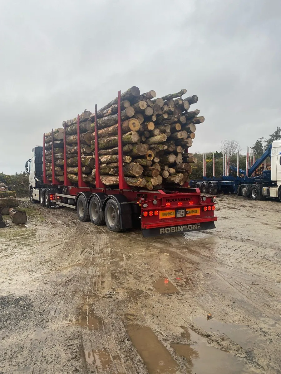 Firewood timber - Image 2