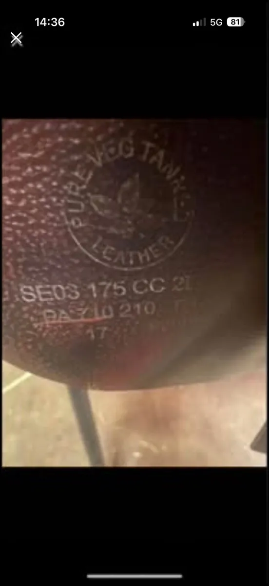 CWD Saddle - Image 3