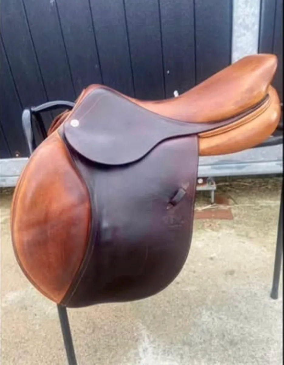 CWD Saddle - Image 1
