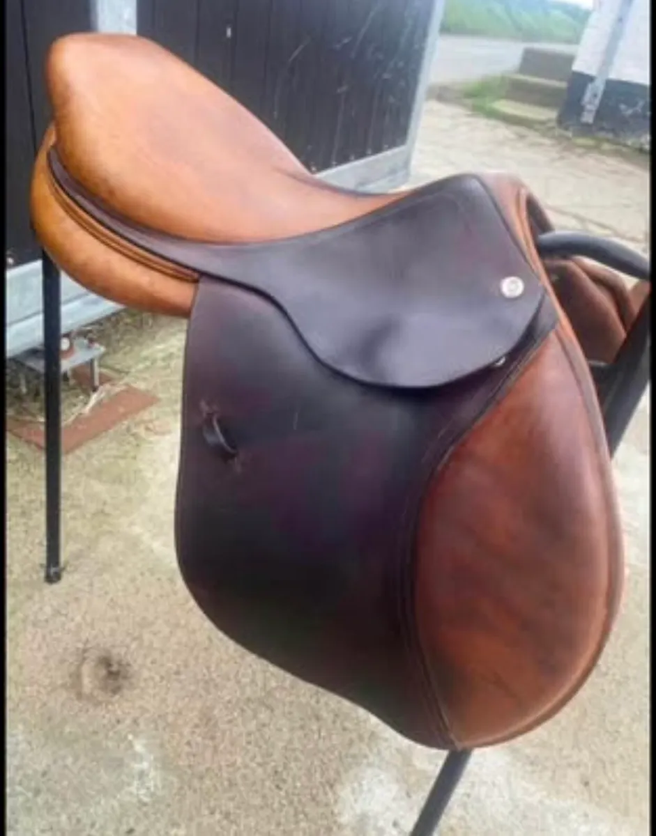 CWD Saddle - Image 2