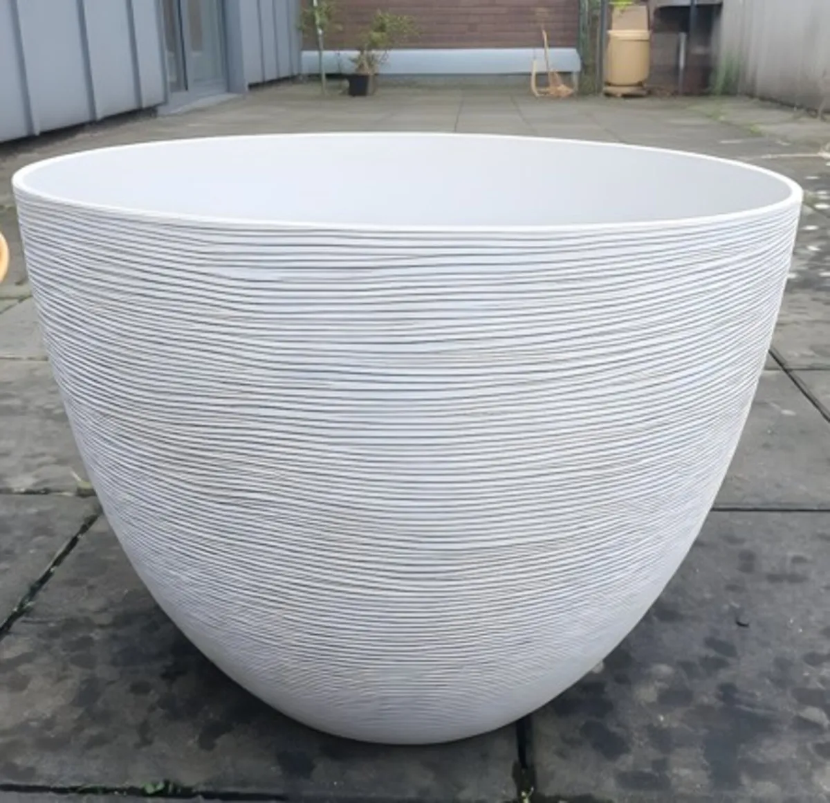 Pot