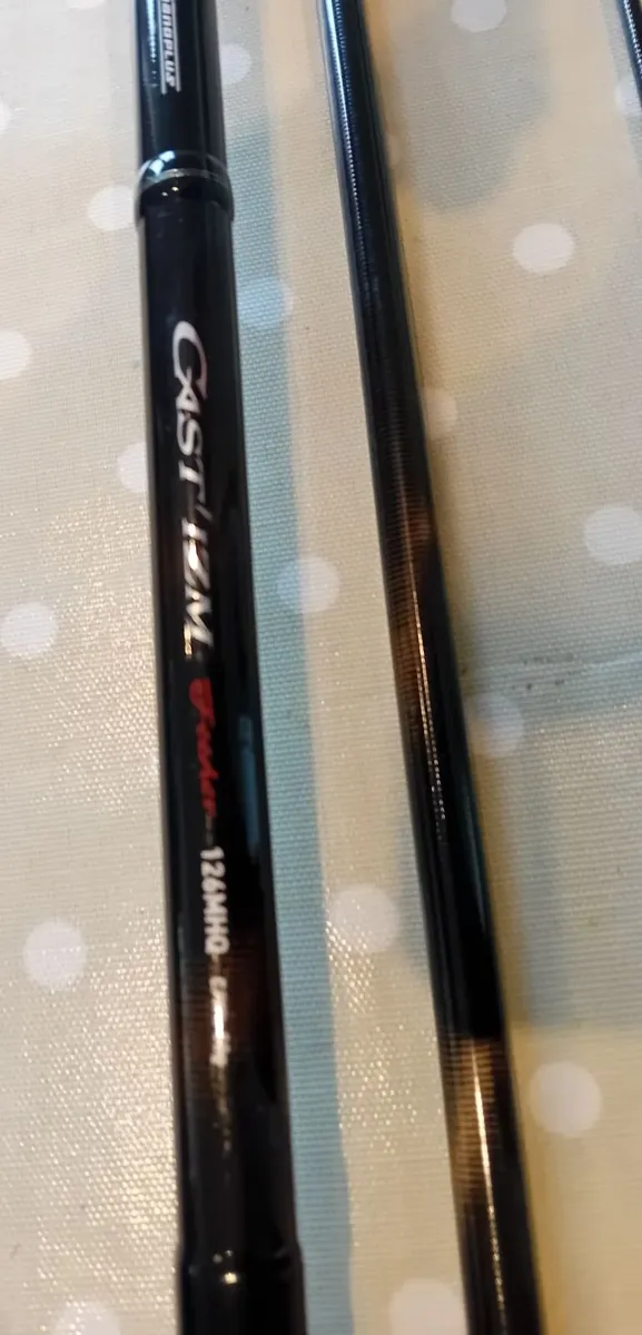 Daiwa Castizm - Image 2