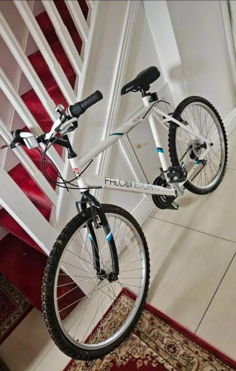 Mans Bike - Image 1