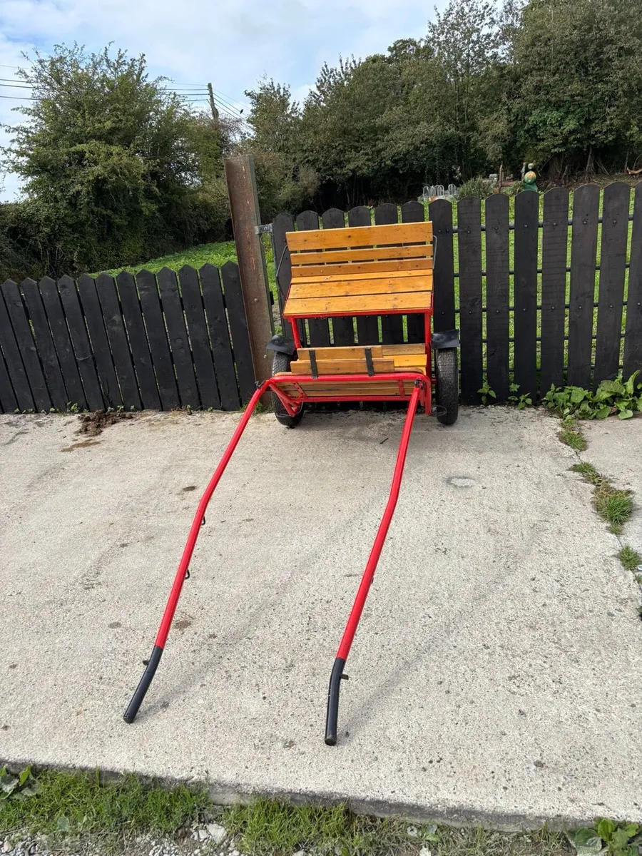 Full size road cart - Image 3