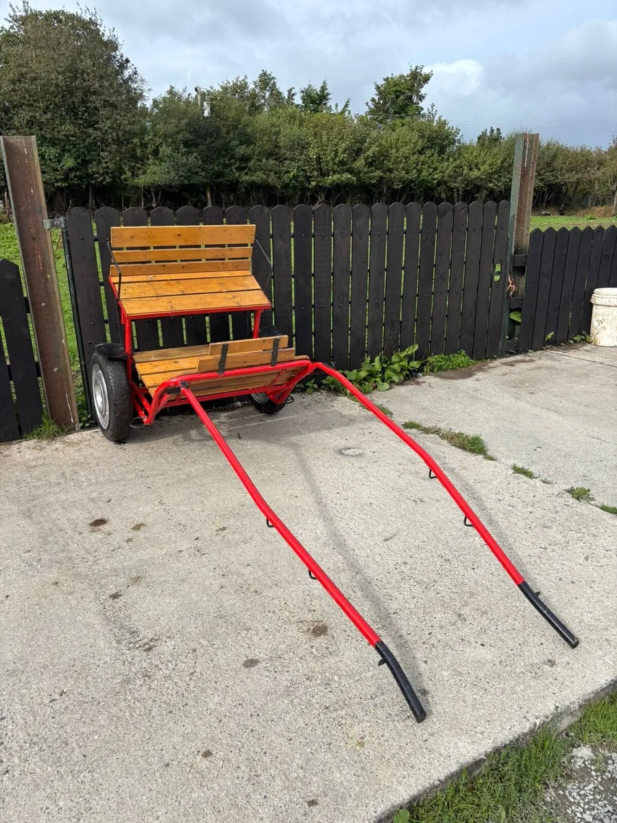 Full size road cart - Image 4