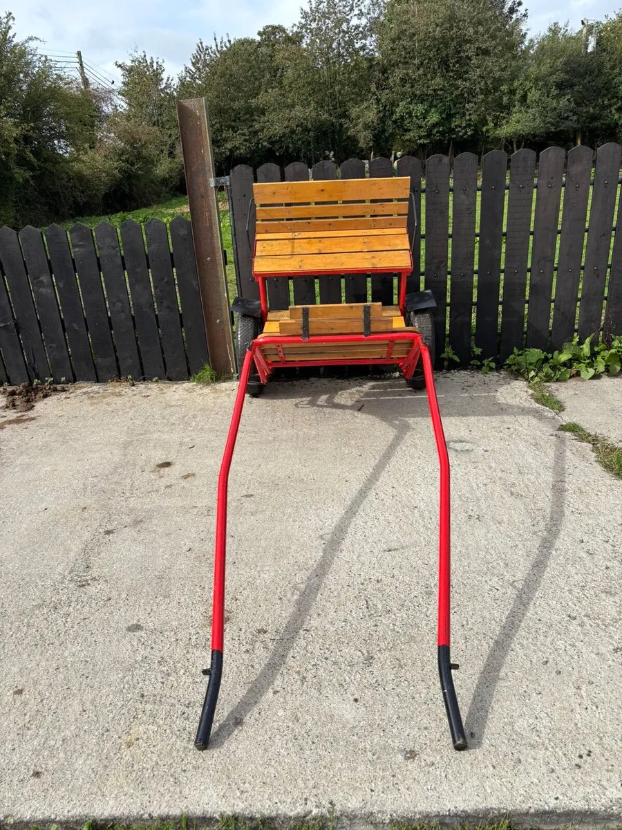 Full size road cart - Image 1