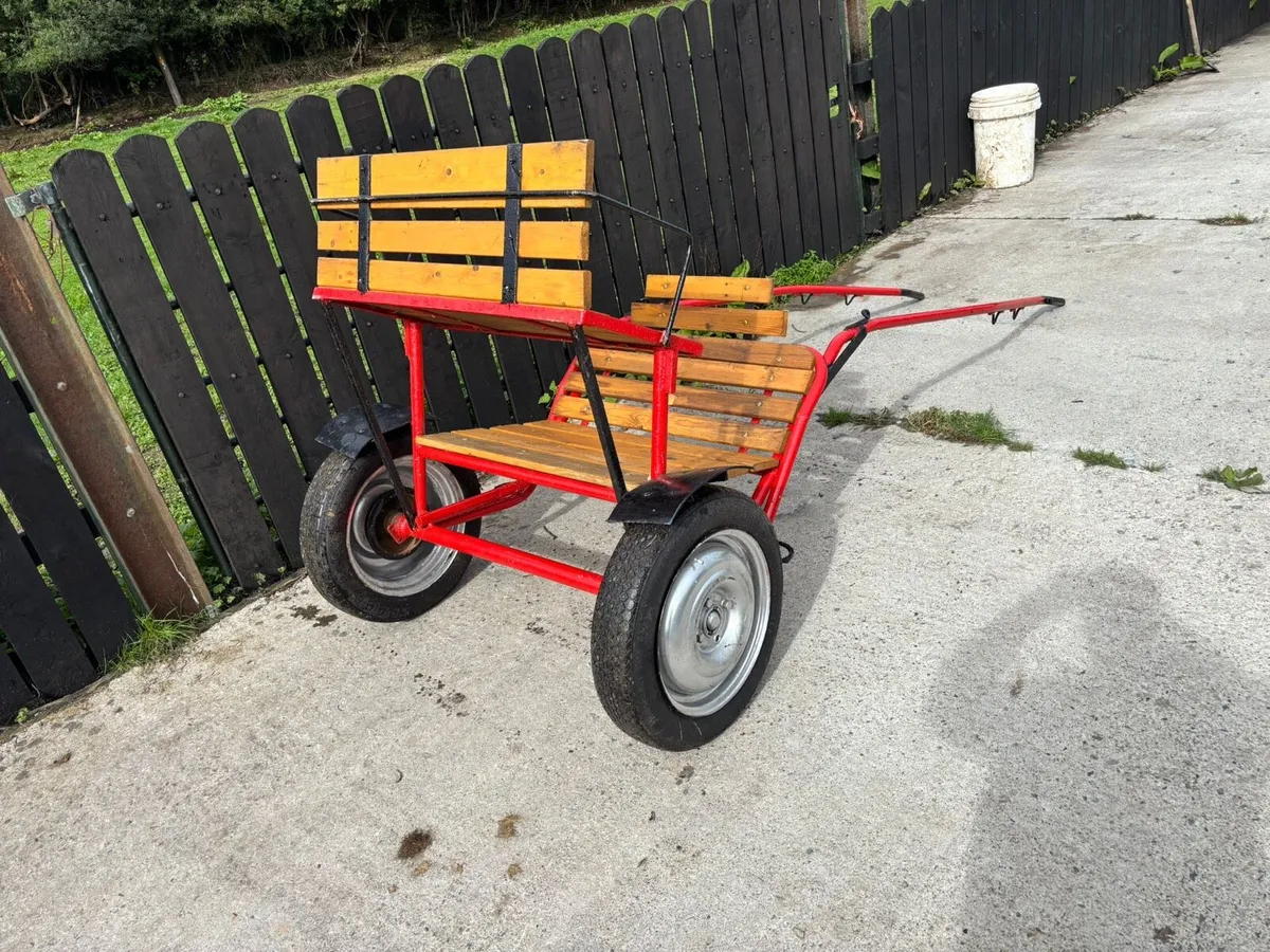 Full size road cart - Image 2