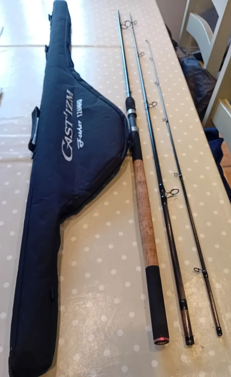 Daiwa Castizm - Image 1