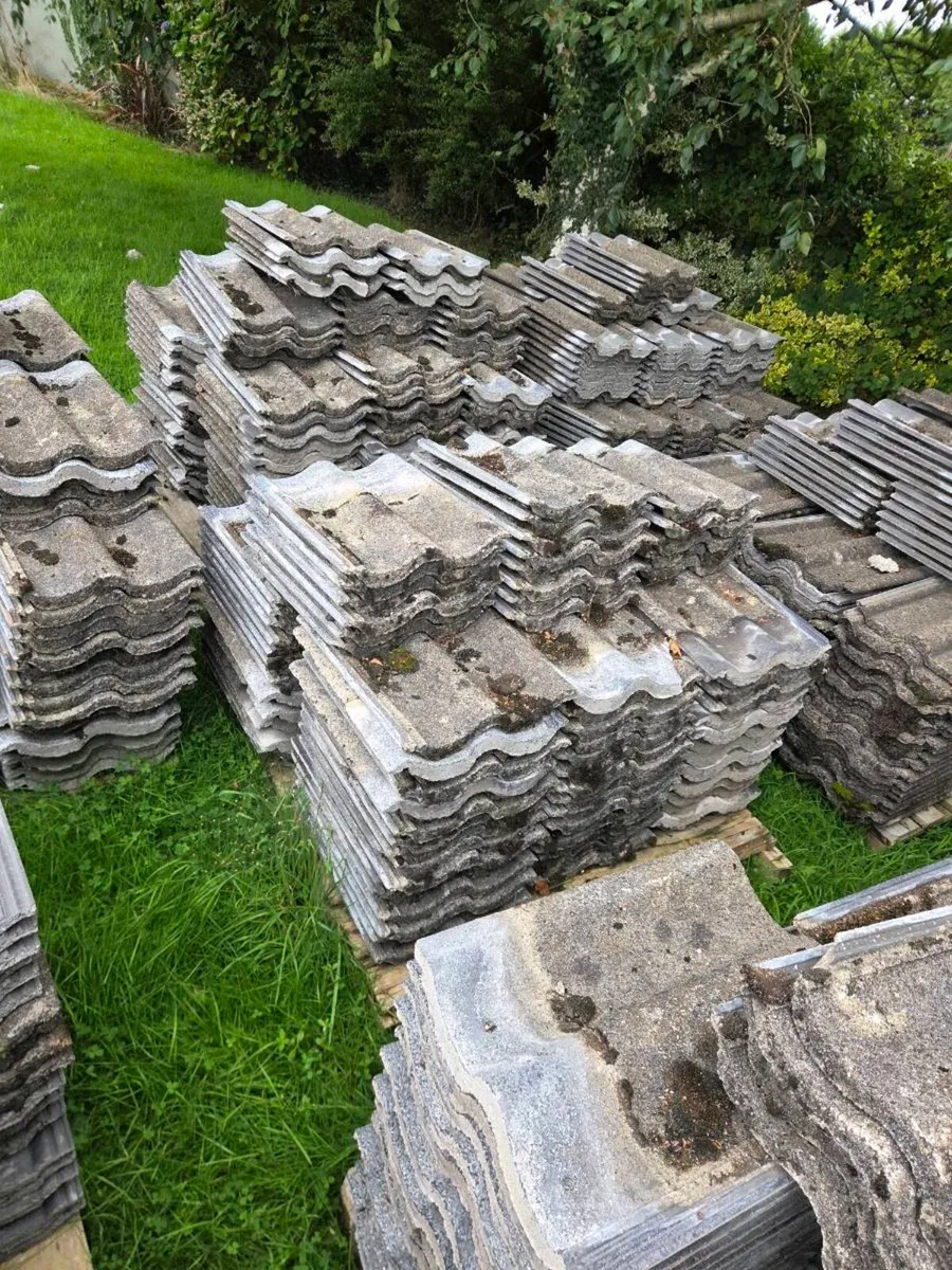 Concrete roof tiles - Image 1