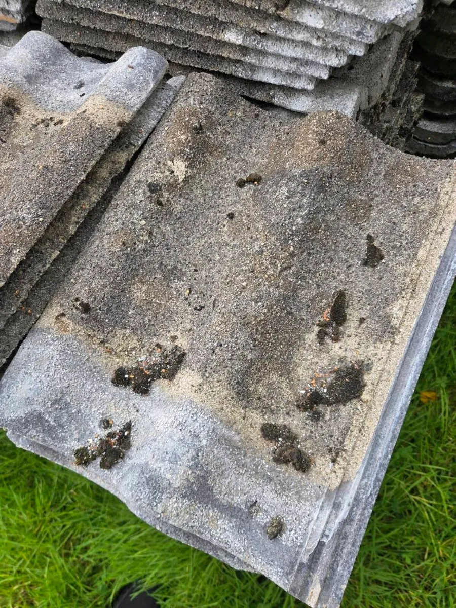 Concrete roof tiles - Image 2