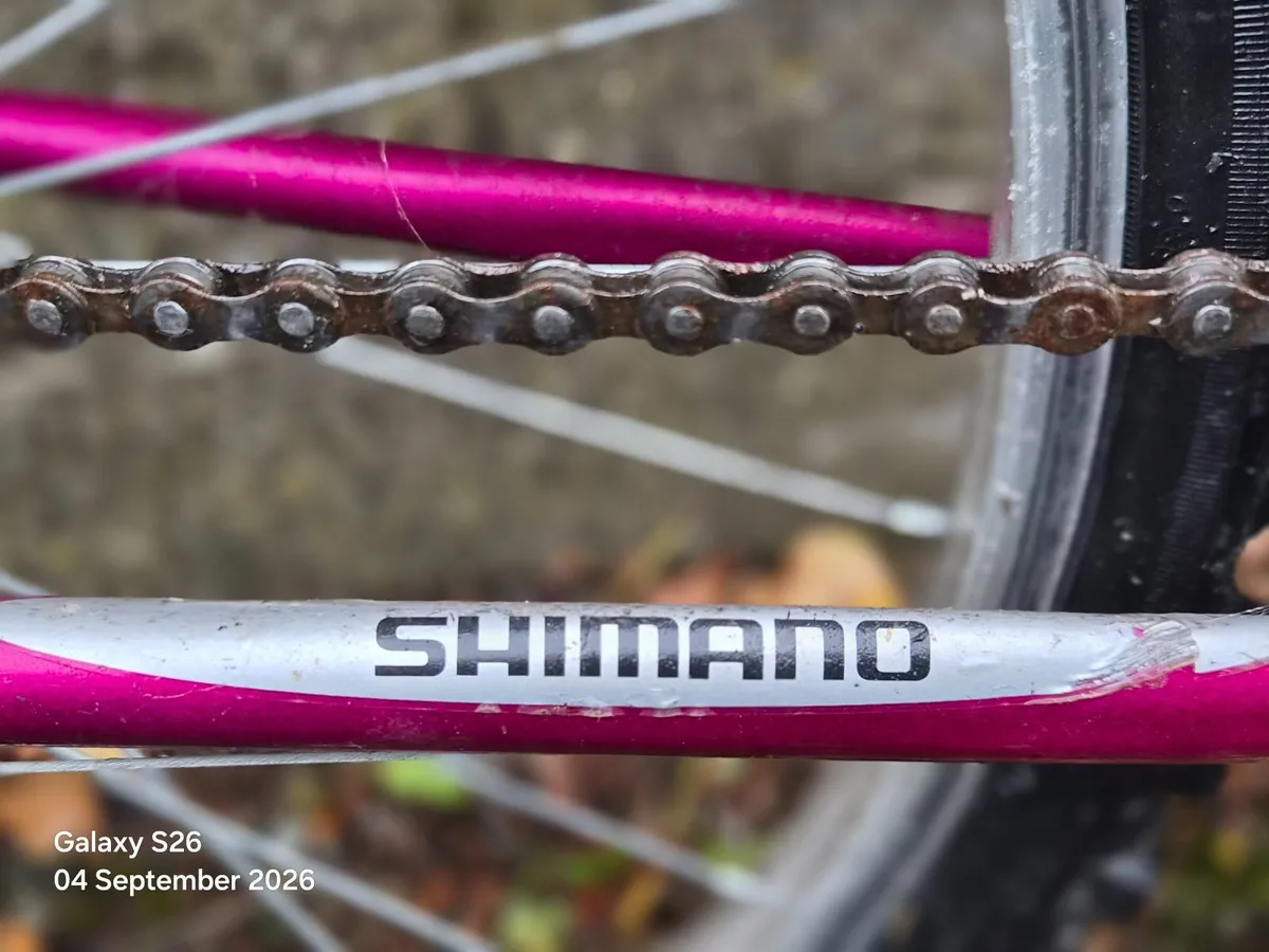 Bicycle - Image 2