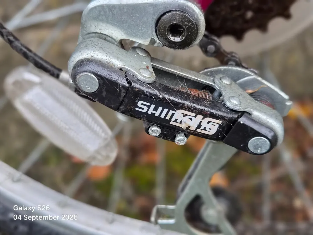 Bicycle - Image 3