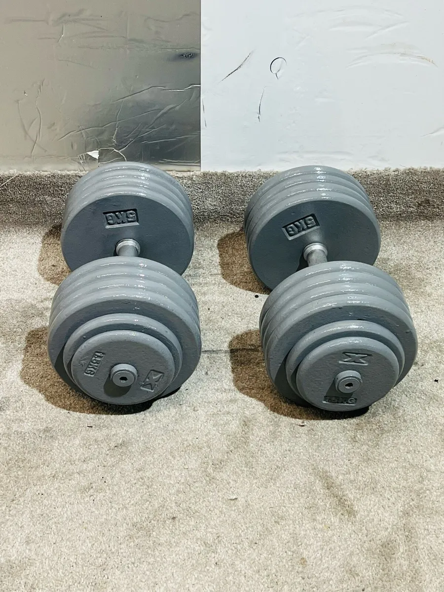 2 X 47 KG DUMBBELLS - Image 1